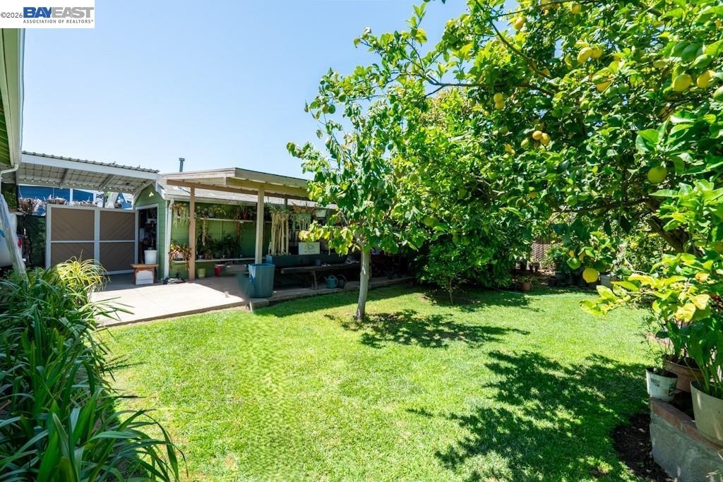 Property photo 17
