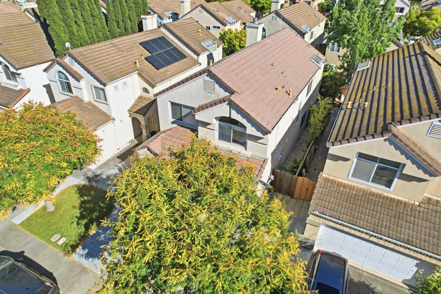 Property photo 44