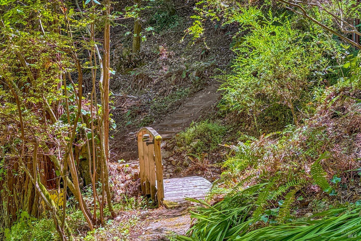 Property photo 35