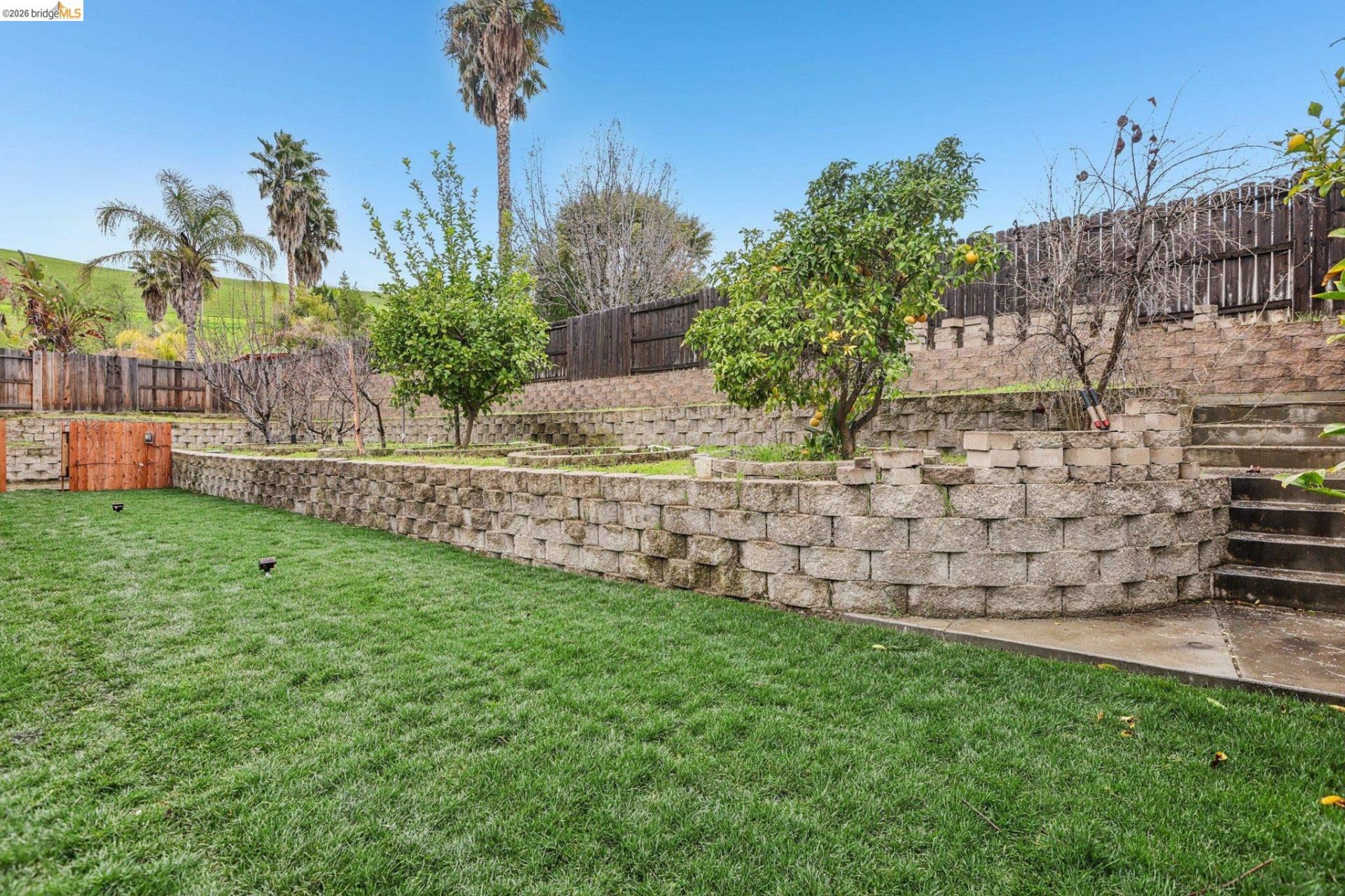 Property photo 49