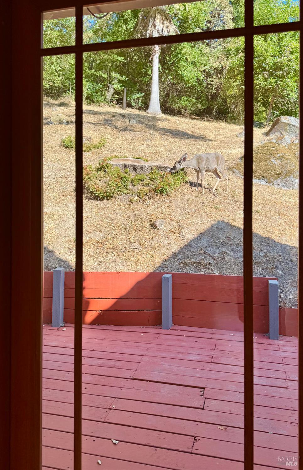 Property photo 28