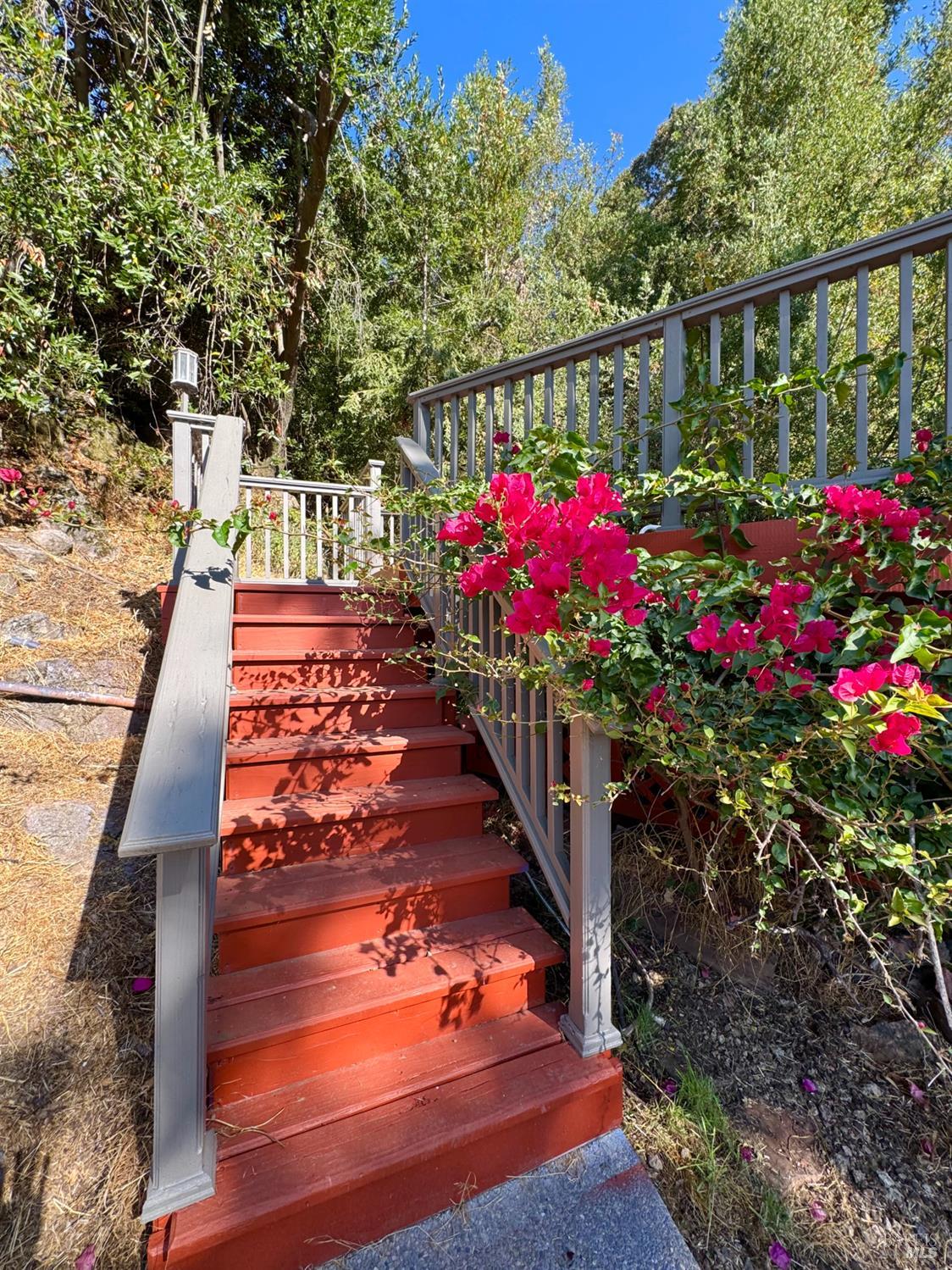 Property photo 48