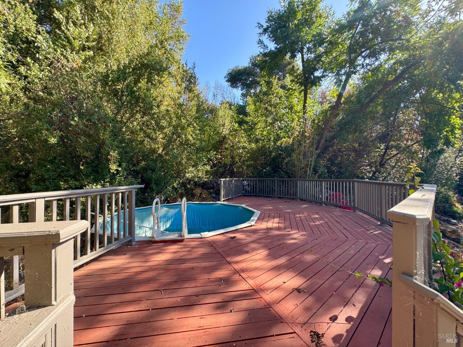 Property photo 49
