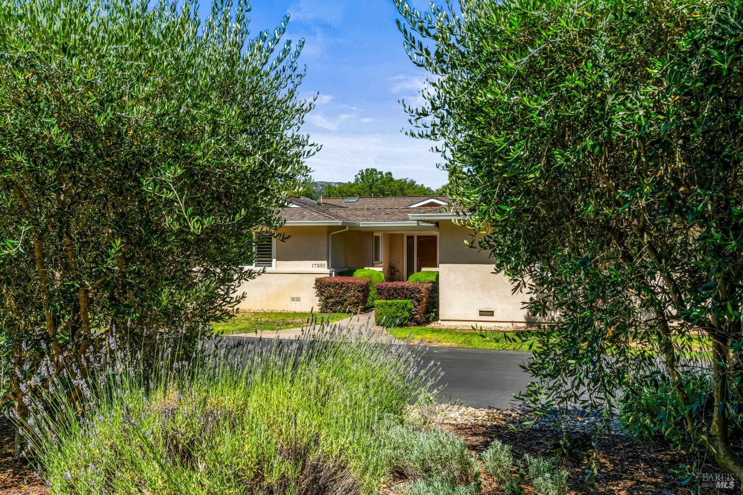 Property photo 44