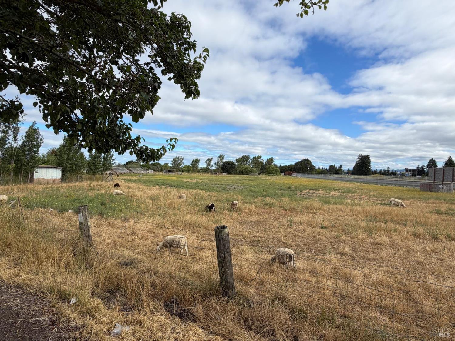Property photo 24