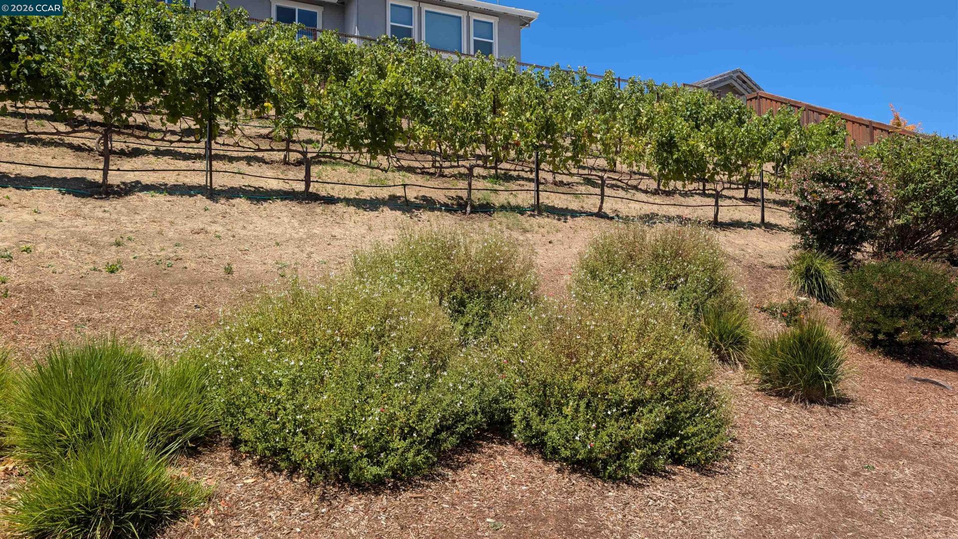 Property photo 22