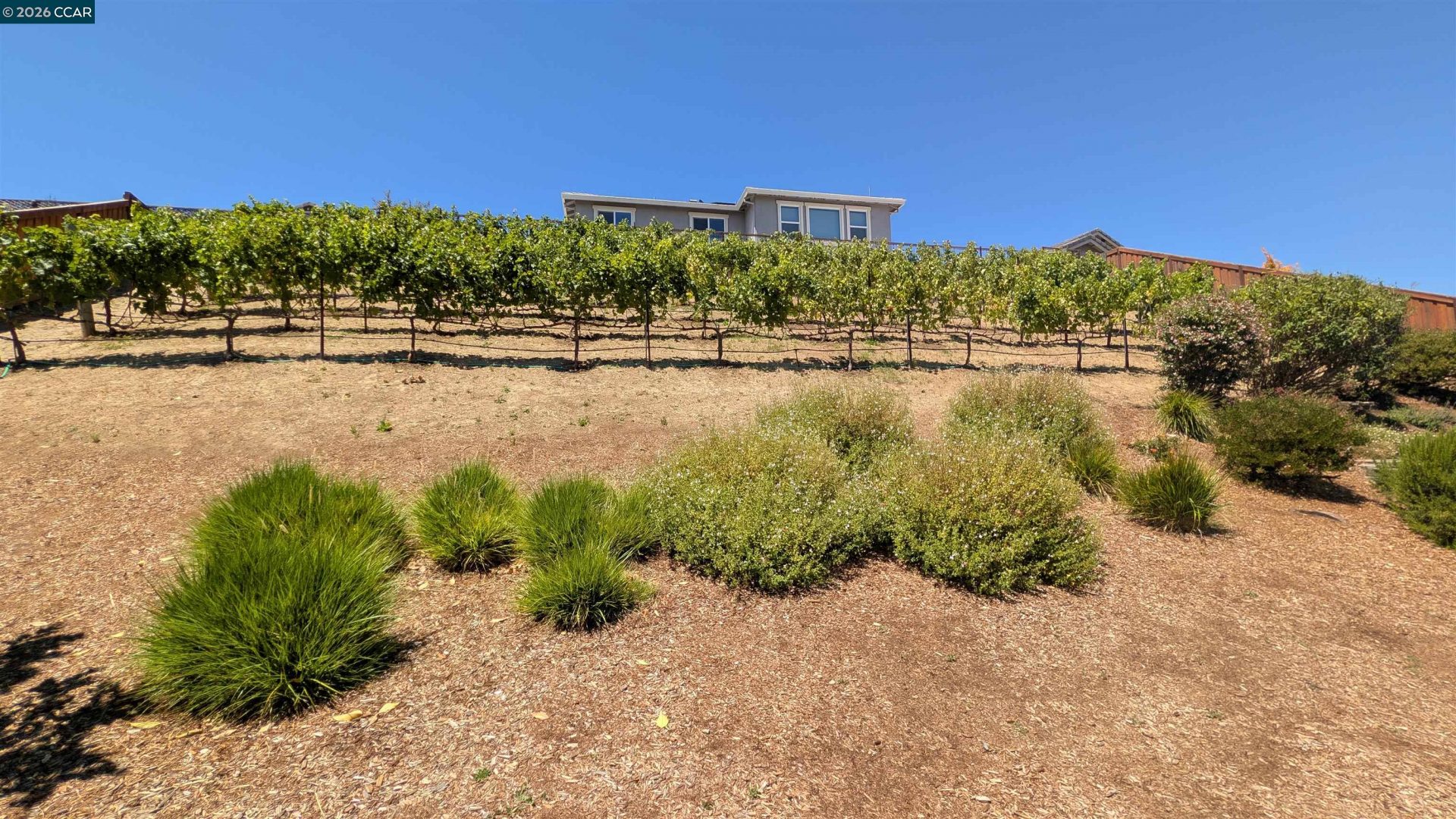 Property photo 23