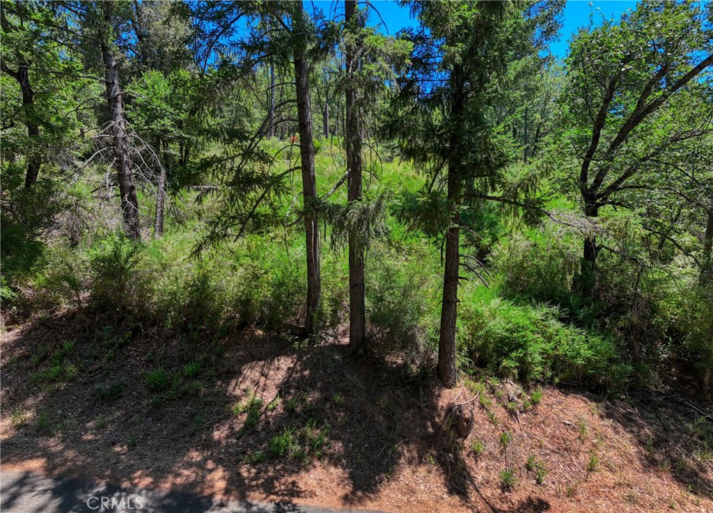 Property photo 19