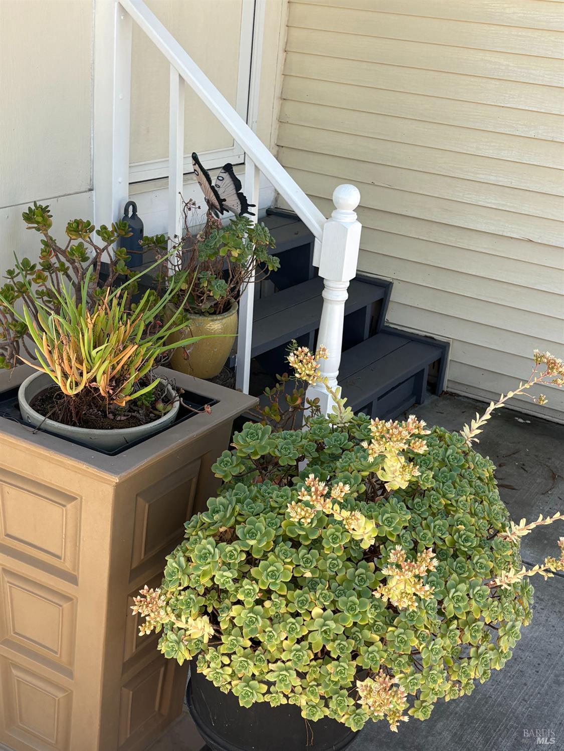 Property photo 31