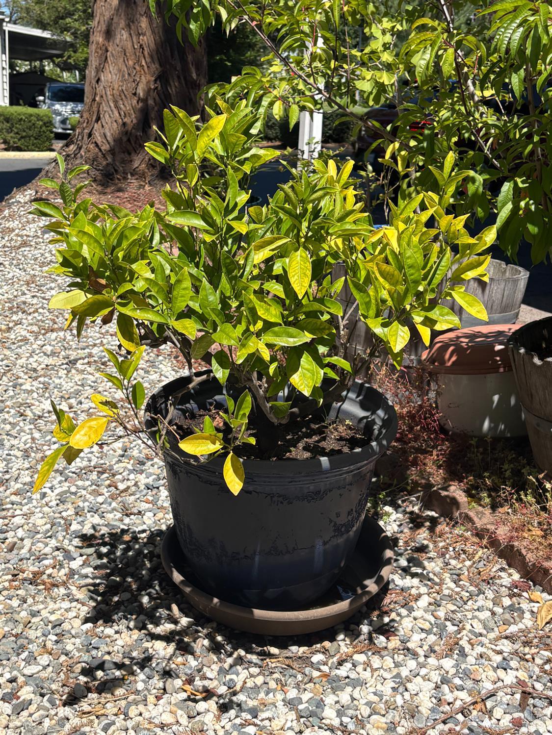 Property photo 32