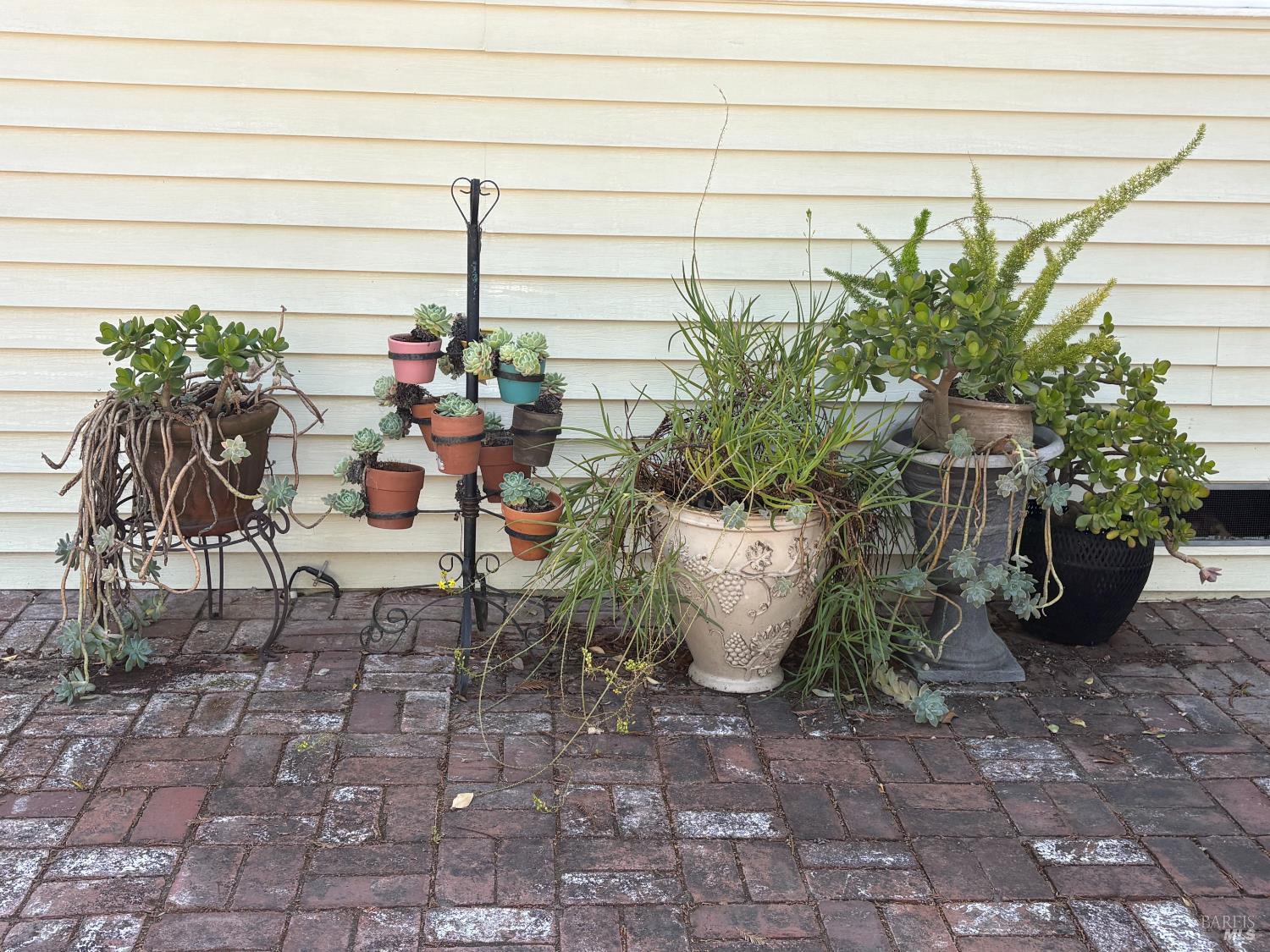 Property photo 34