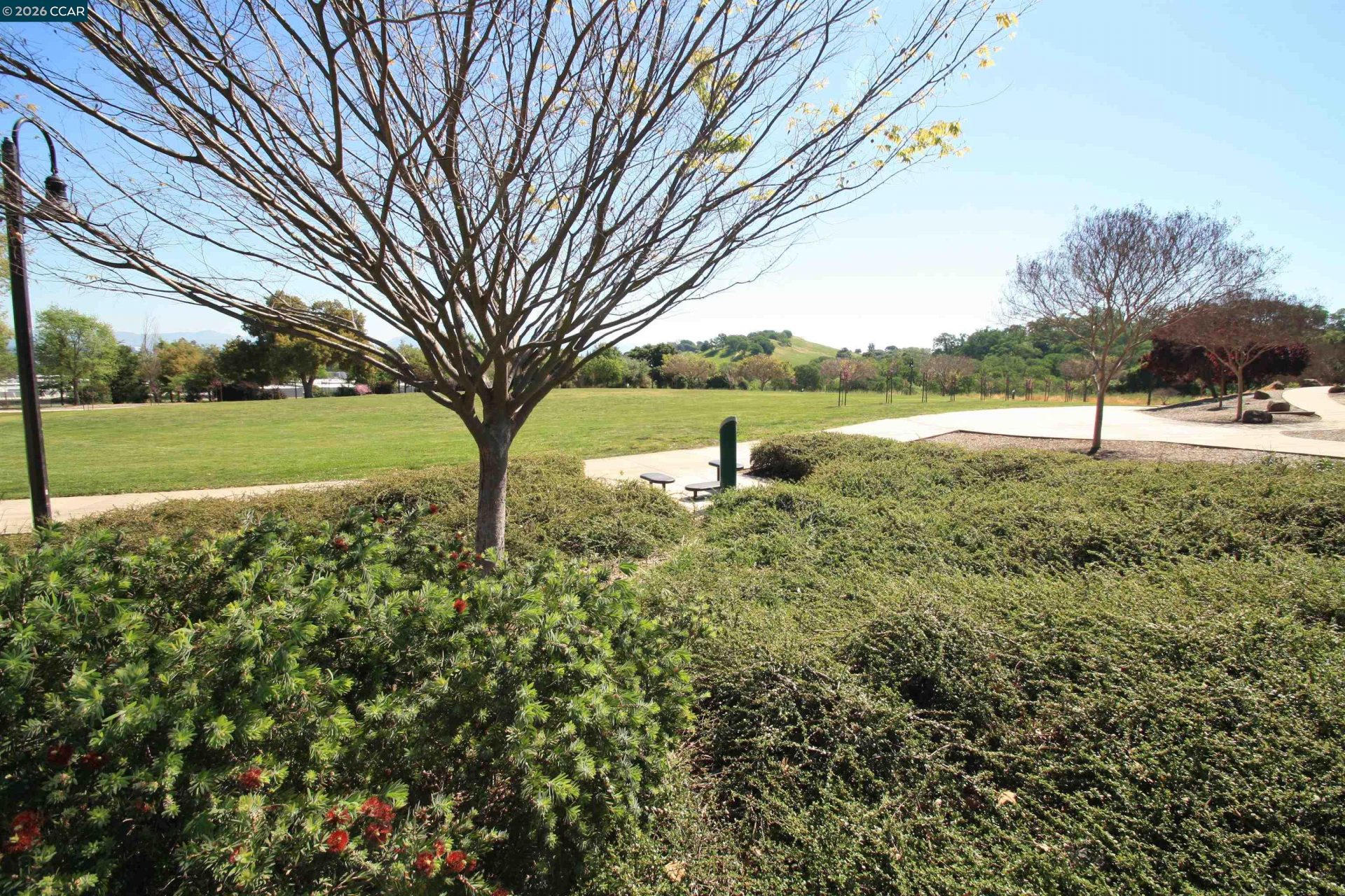 Property photo 40