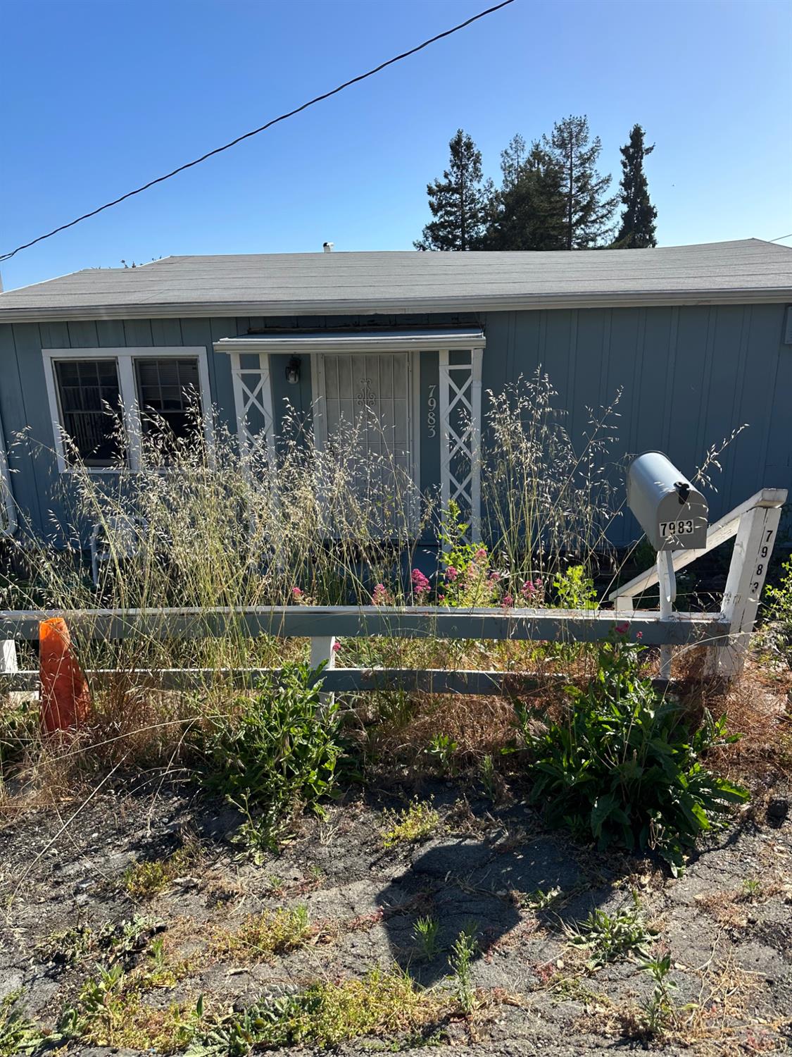Property photo 6