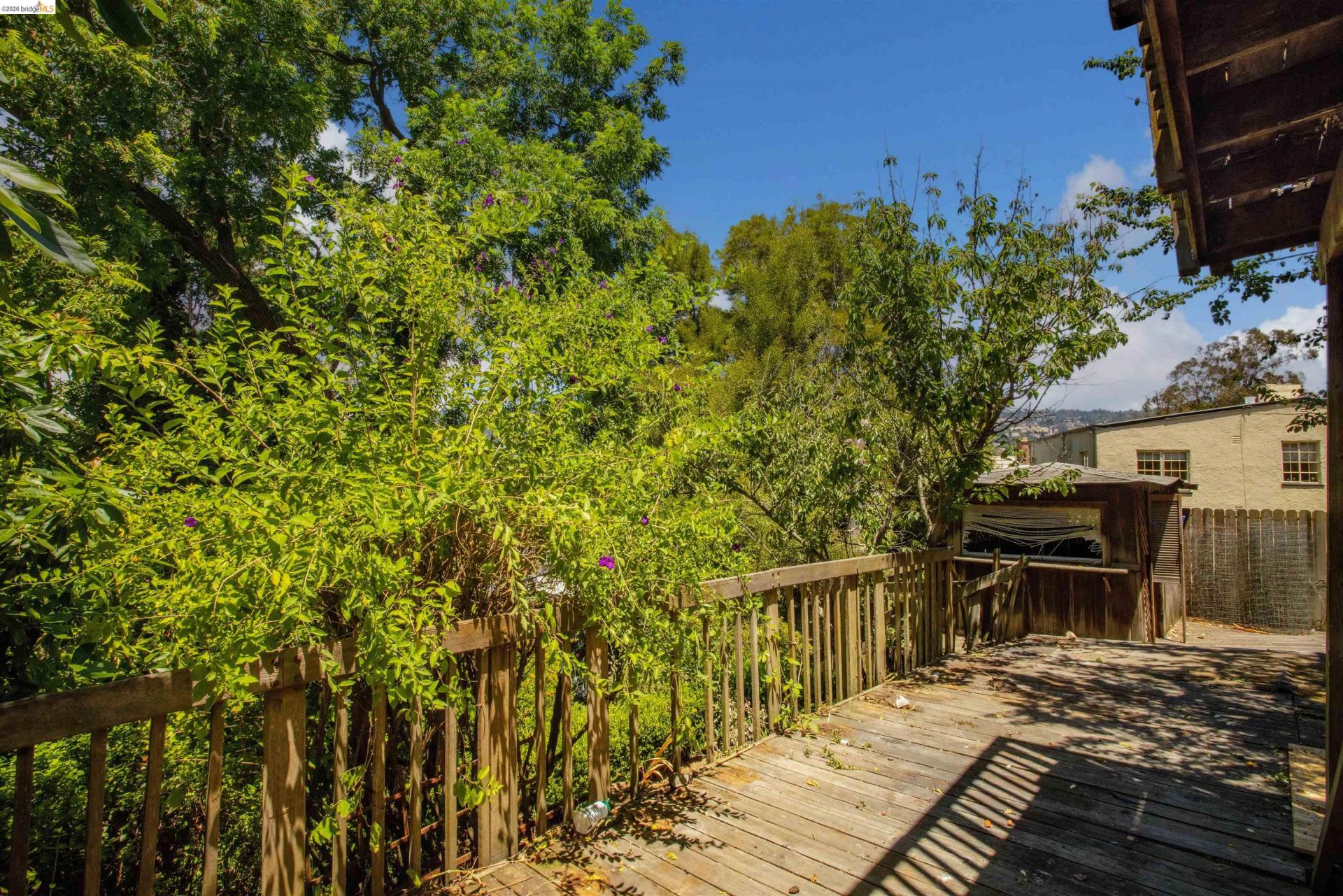 Property photo 40