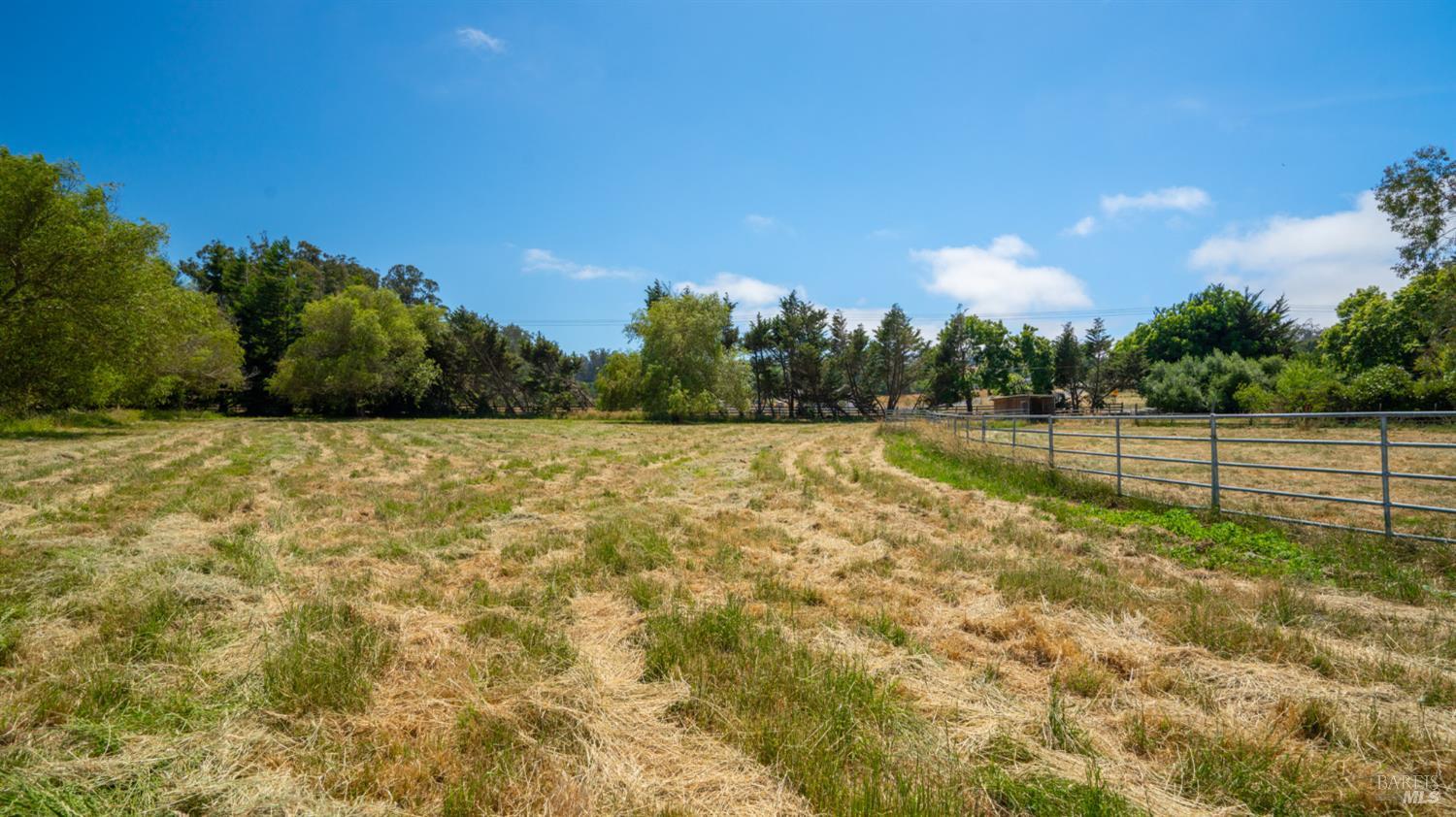 Property photo 51
