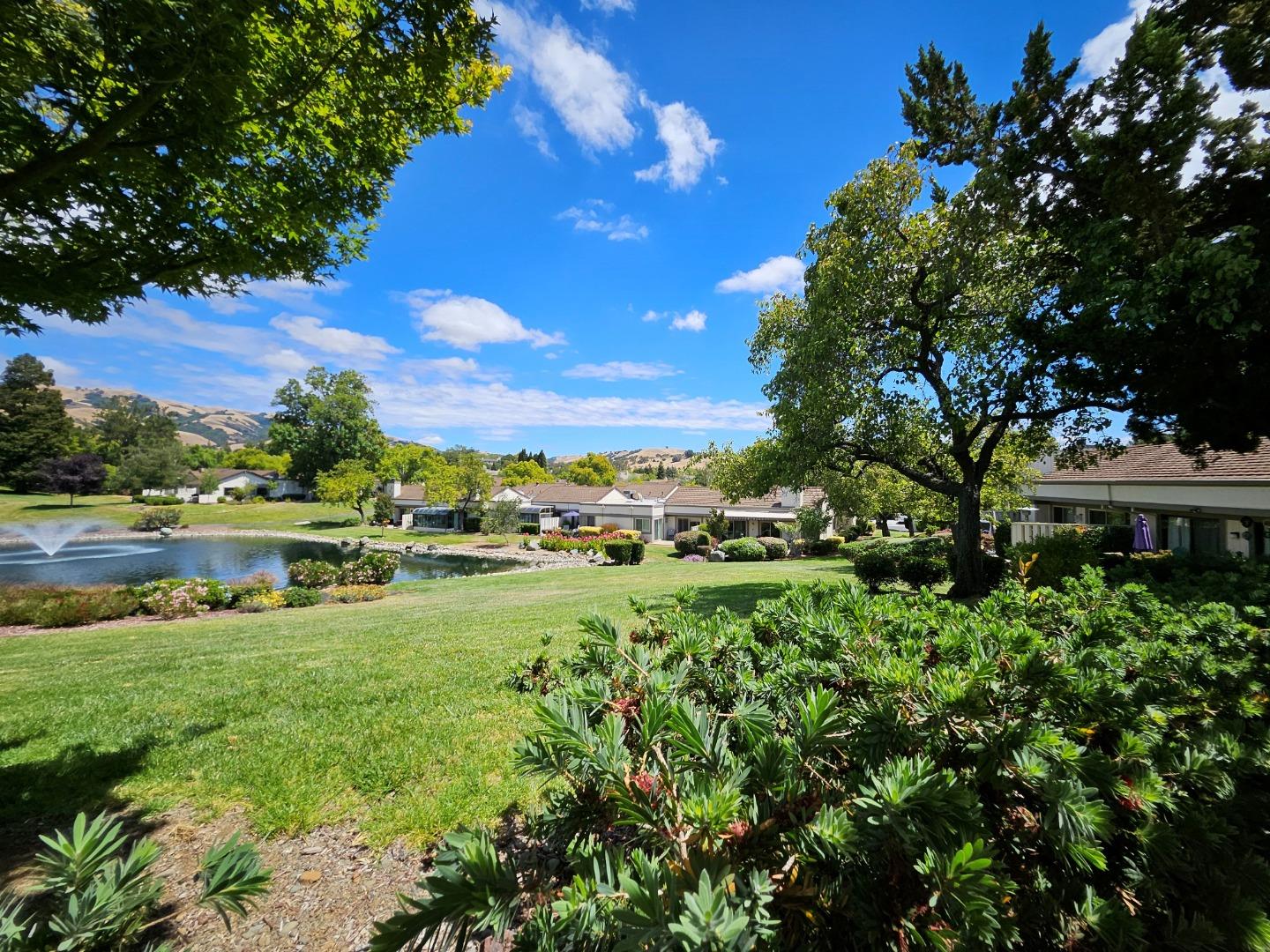 Property photo 40