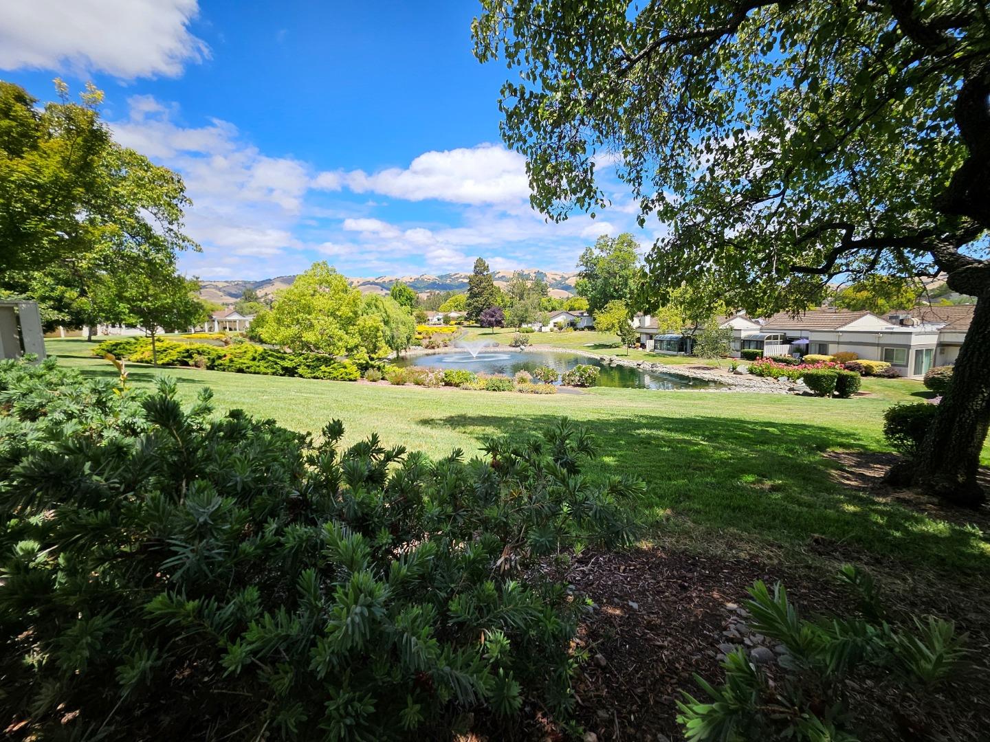 Property photo 41