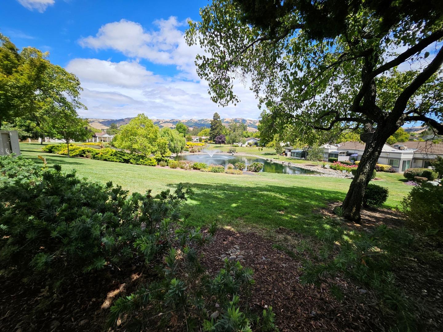 Property photo 44