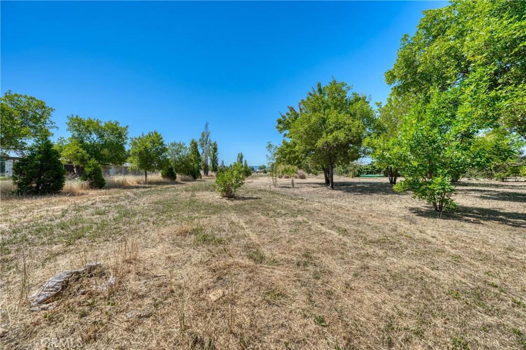 Property photo 40