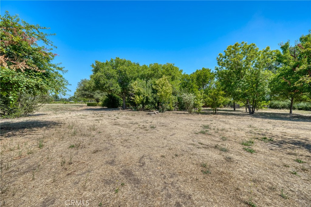 Property photo 51