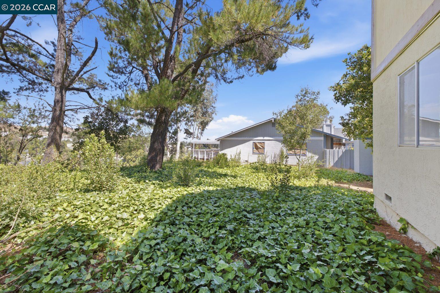 Property photo 42