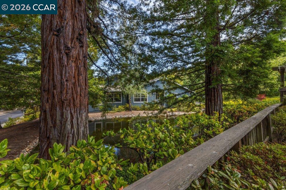 Property photo 42
