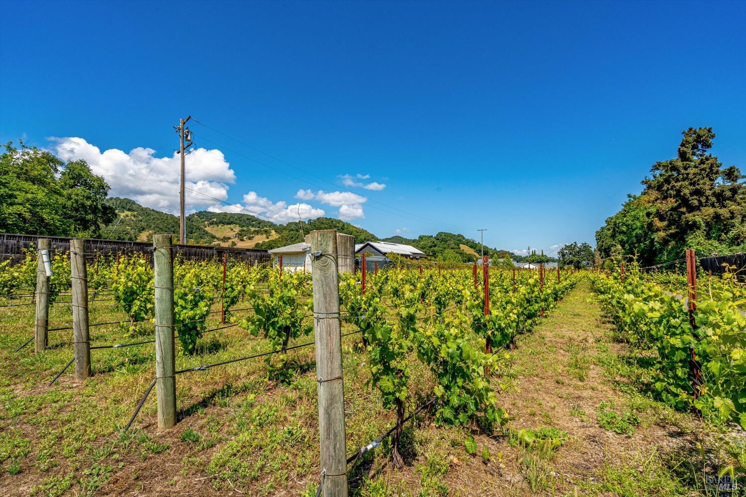 Property photo 51