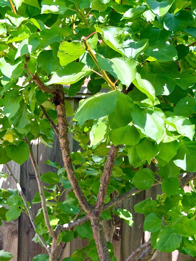 Property photo 35
