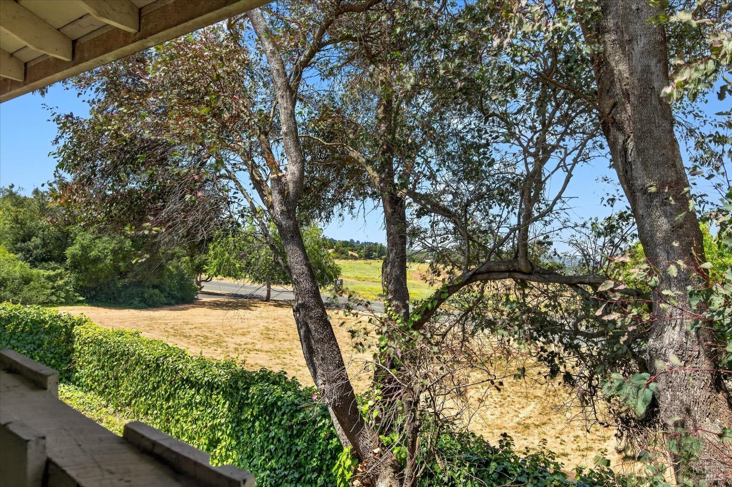 Property photo 41