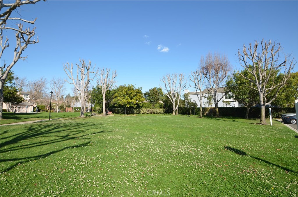 Property photo 47