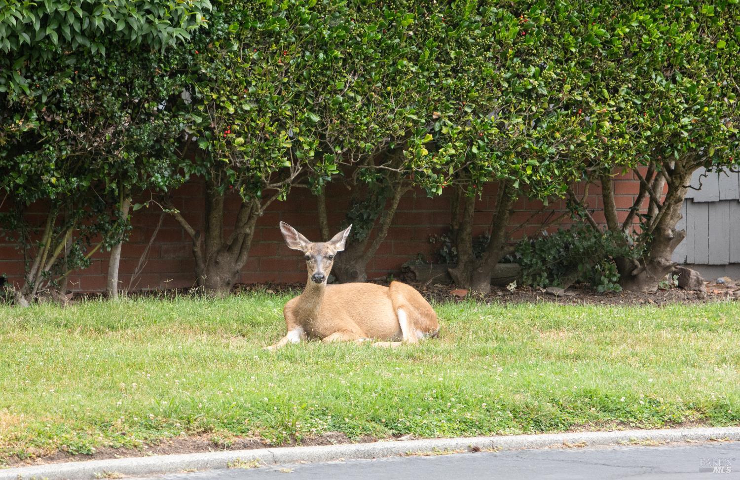 Property photo 37