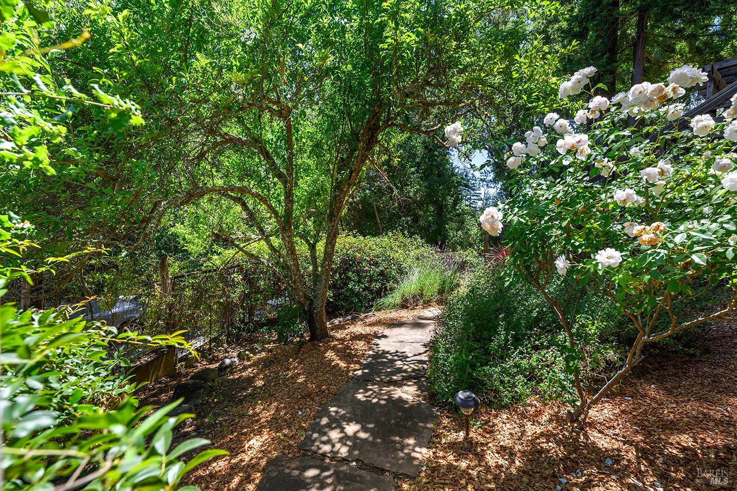 Property photo 34