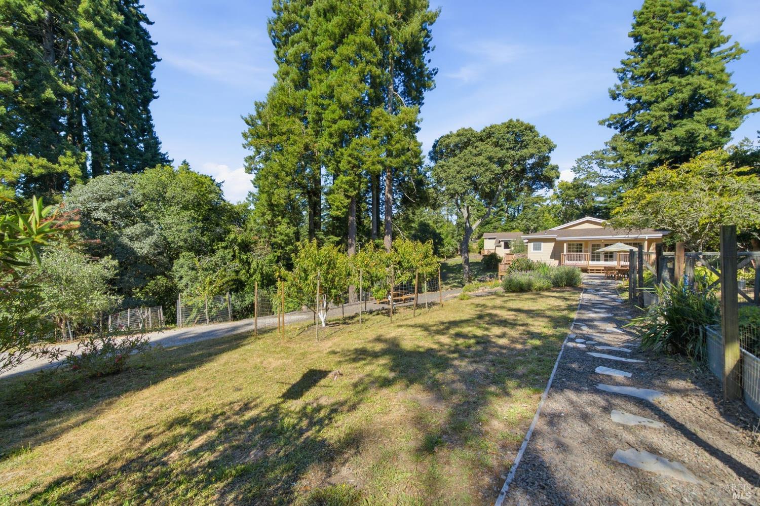 Property photo 38