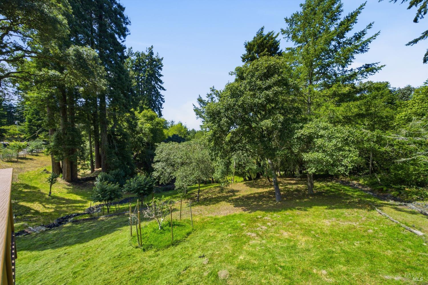 Property photo 41