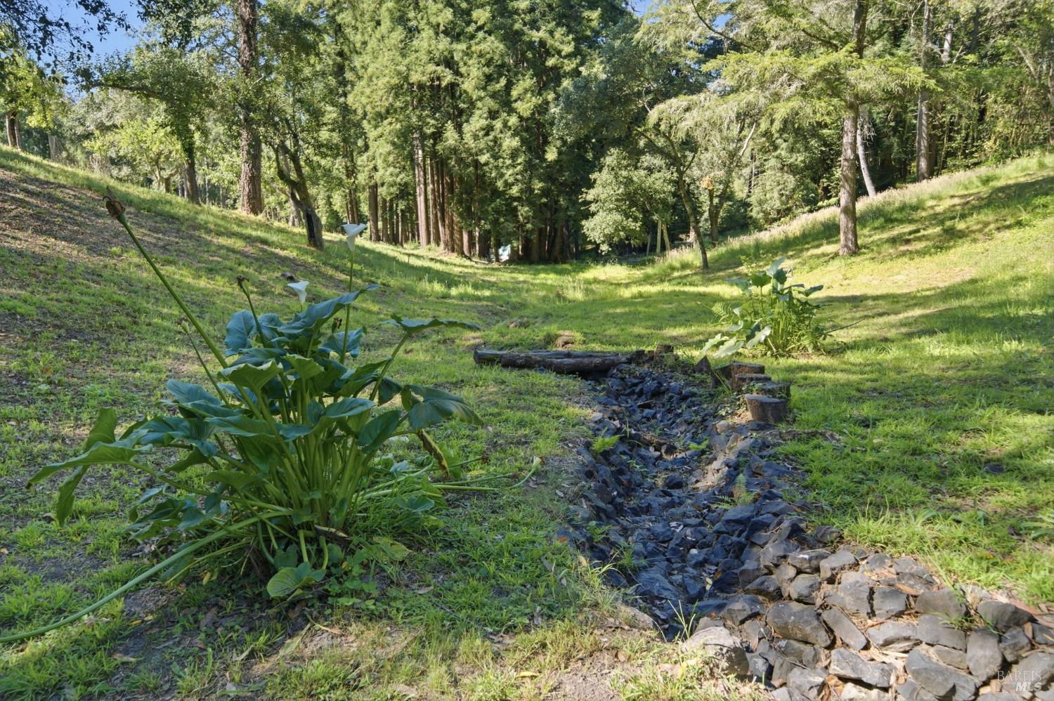 Property photo 46