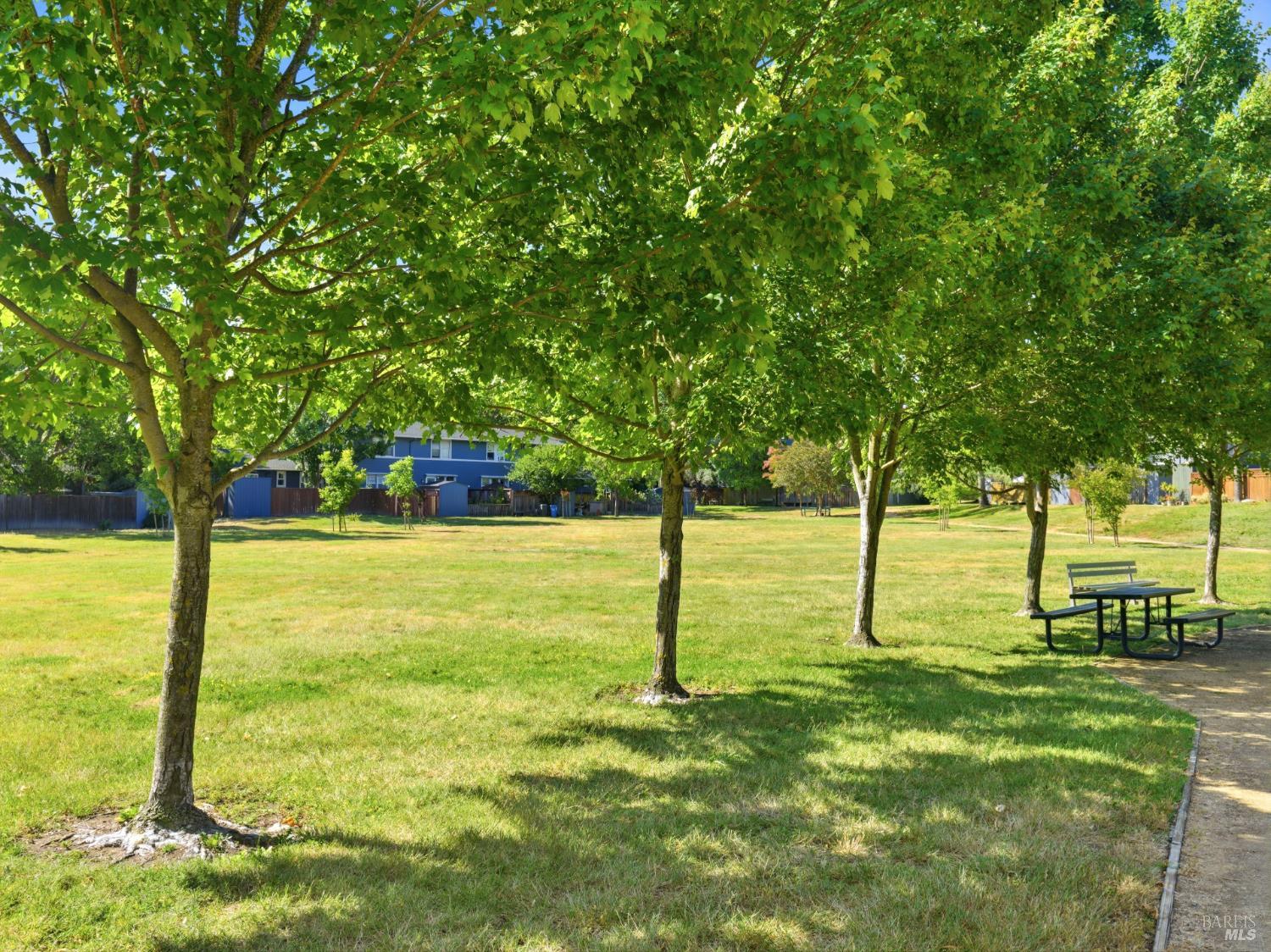 Property photo 47
