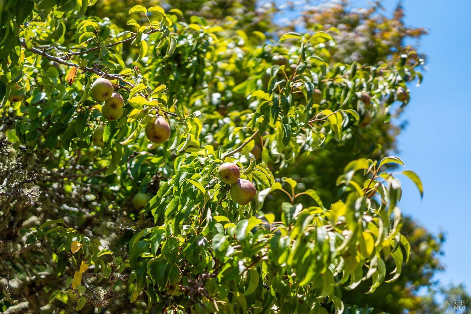Property photo 48