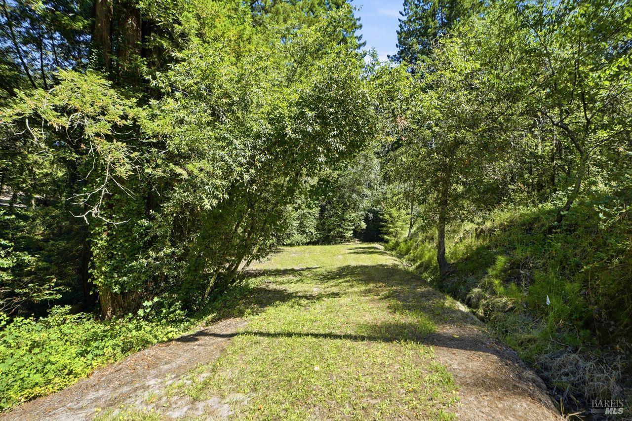 Property photo 39
