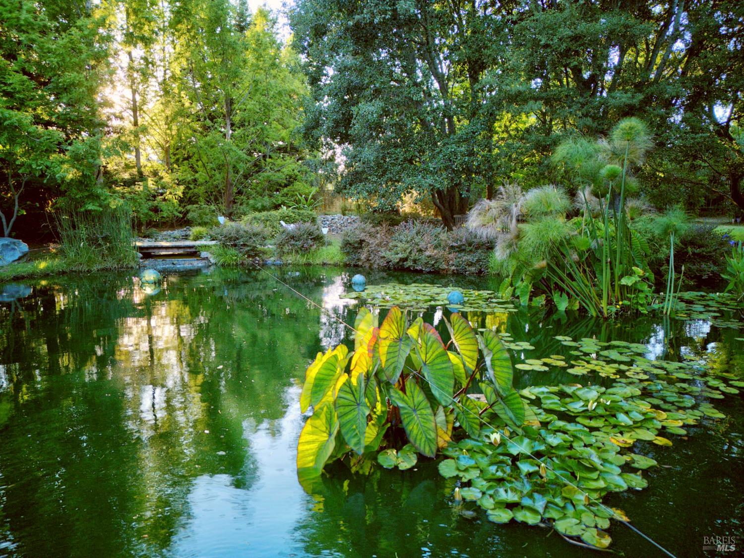 Property photo 36