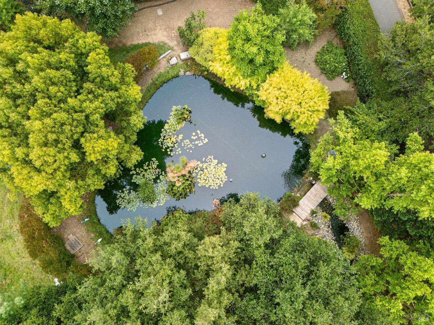 Property photo 37