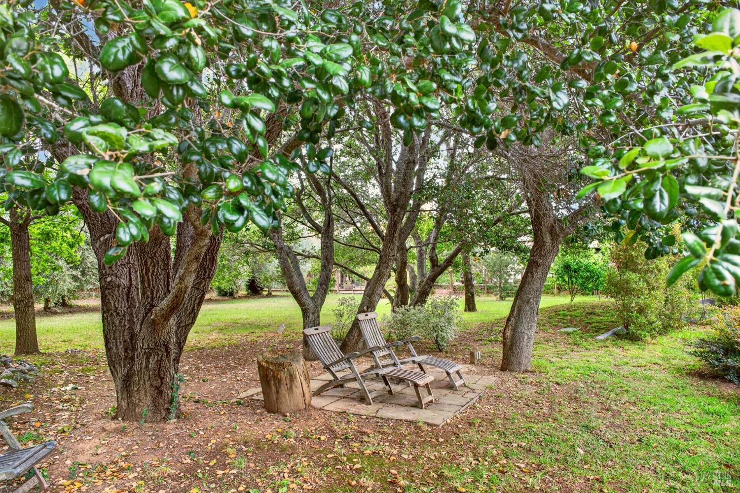 Property photo 49