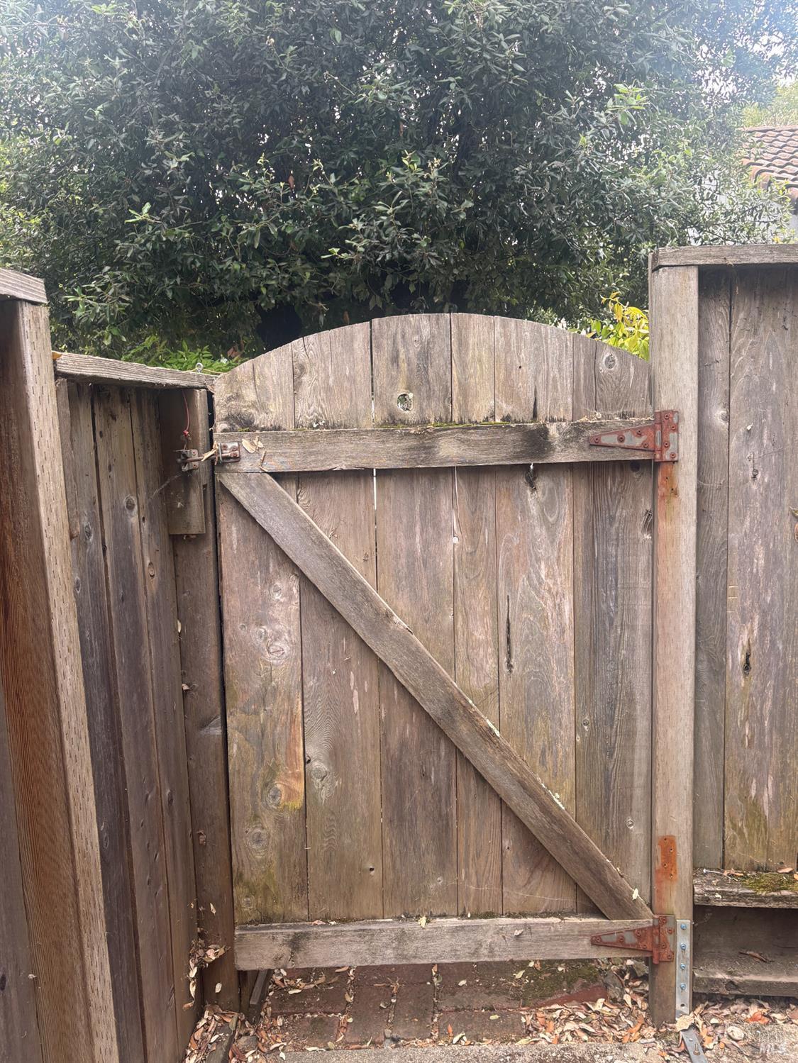 Property photo 21