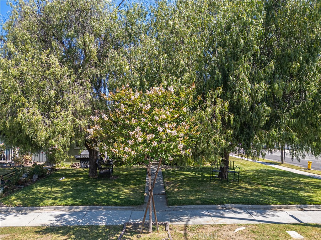 Property photo 25