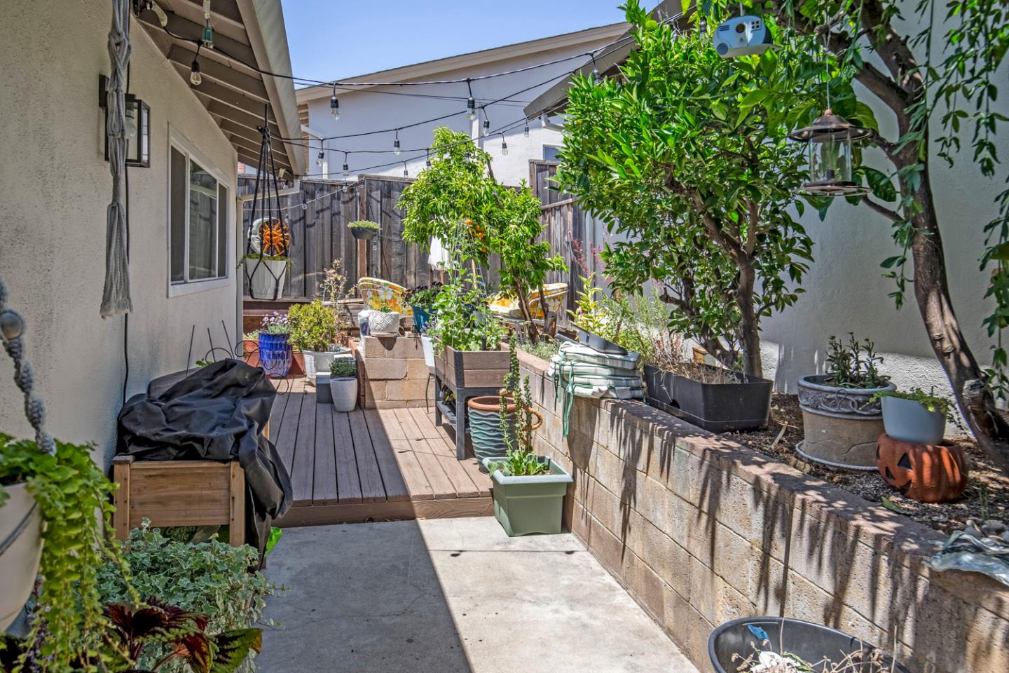 Property photo 38
