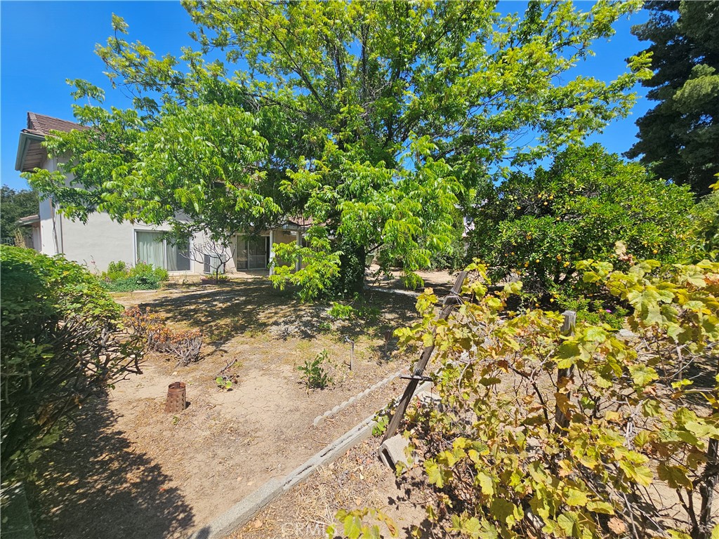 Property photo 34
