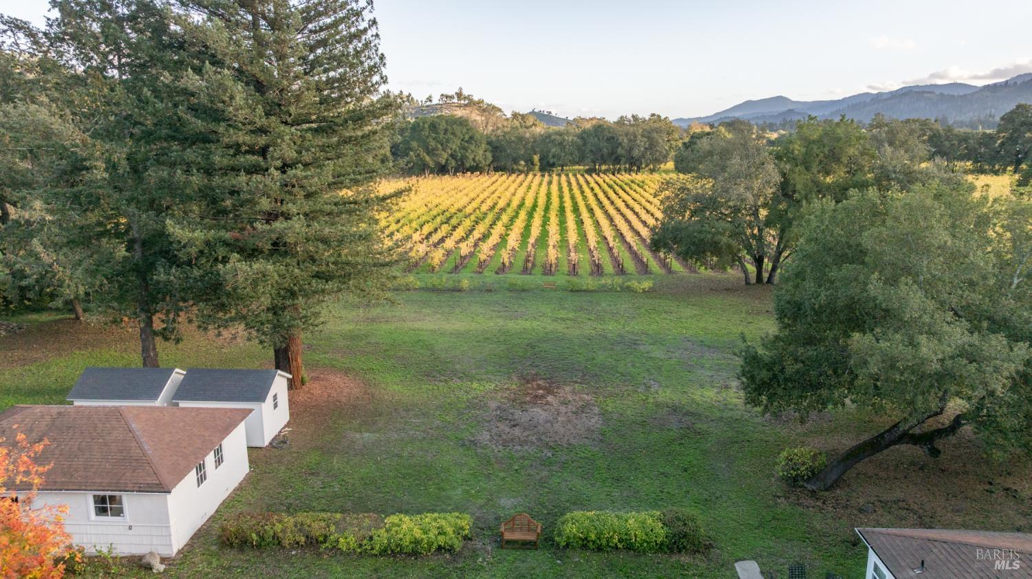 Property photo 44