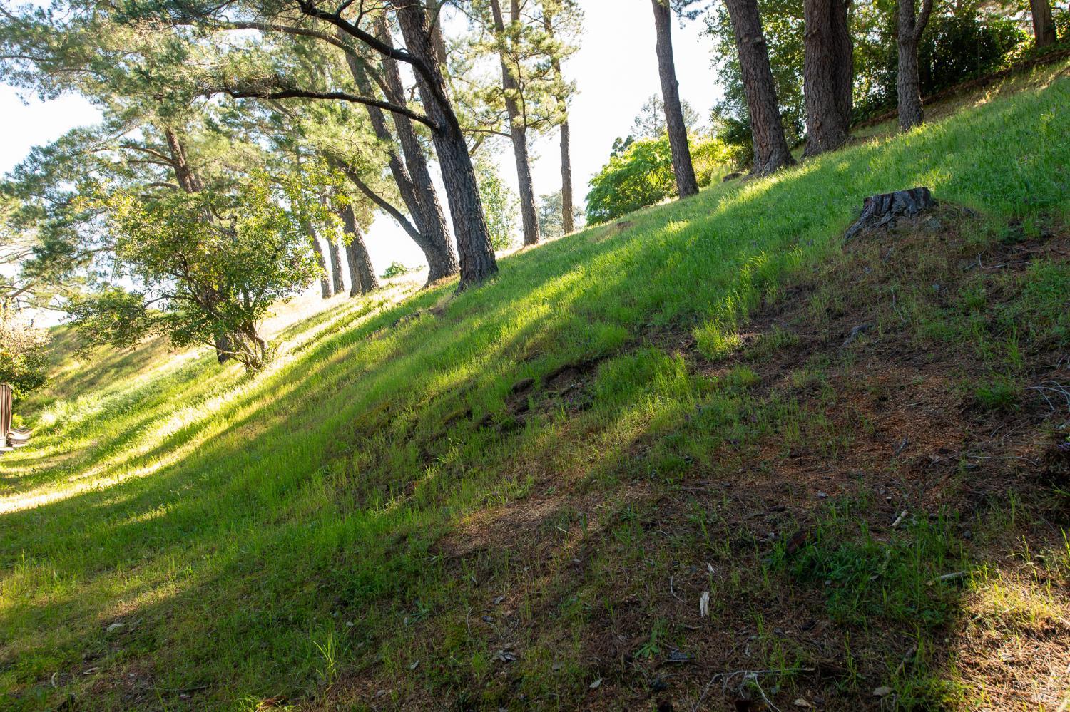 Property photo 27