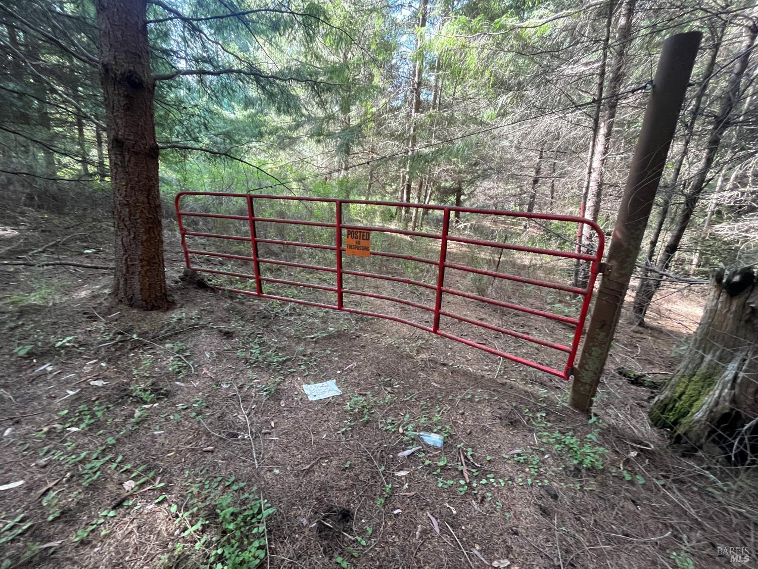 Property photo 12