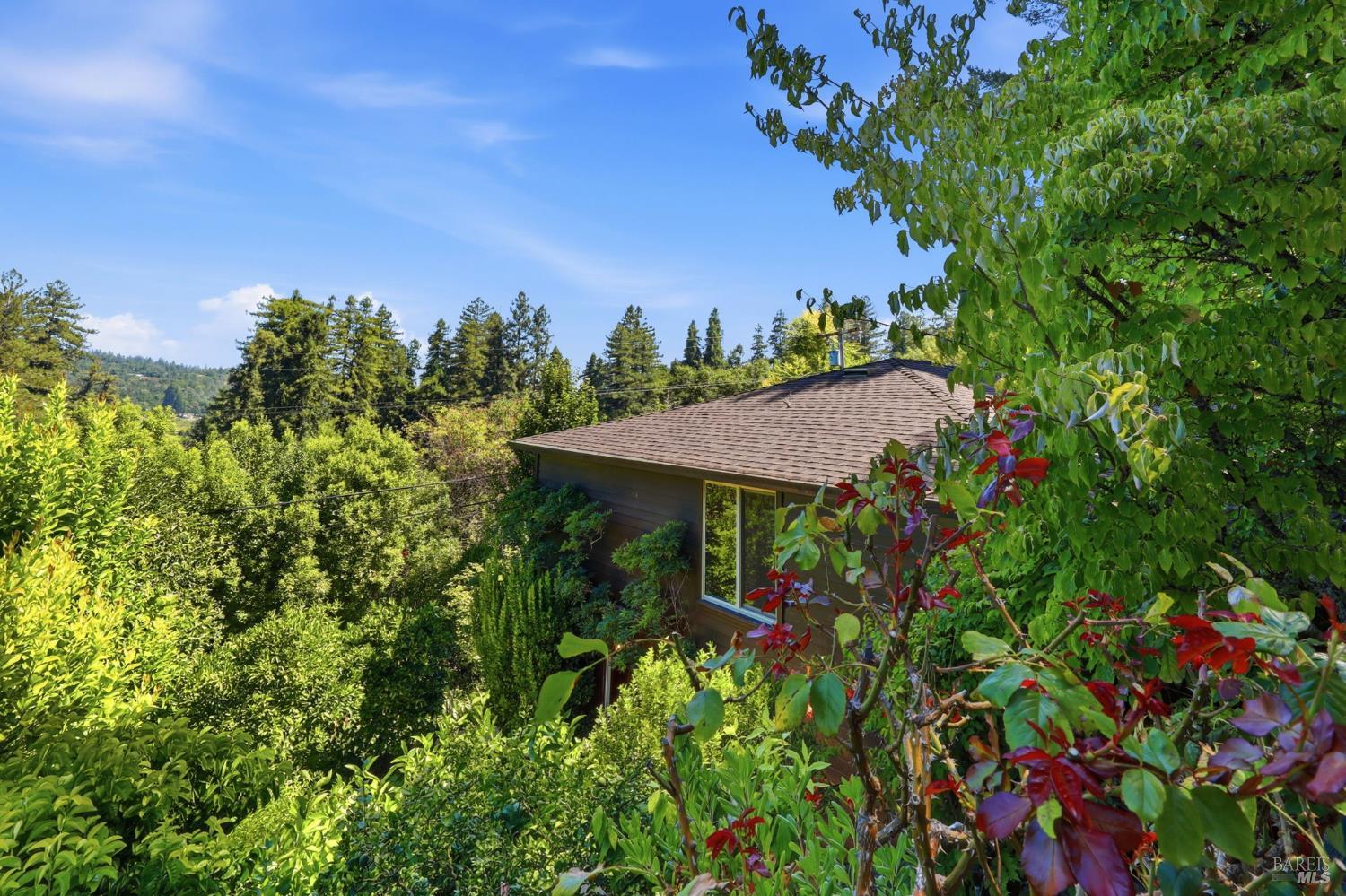 Property photo 32