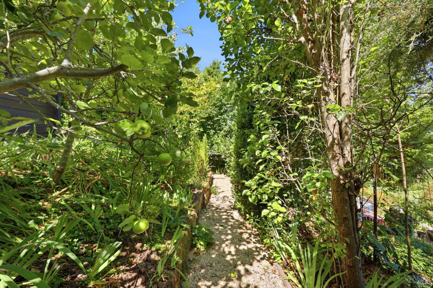 Property photo 37